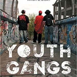 Youth Gangs in American Society 4th Edition by Randall G. Shelden – Test Bank